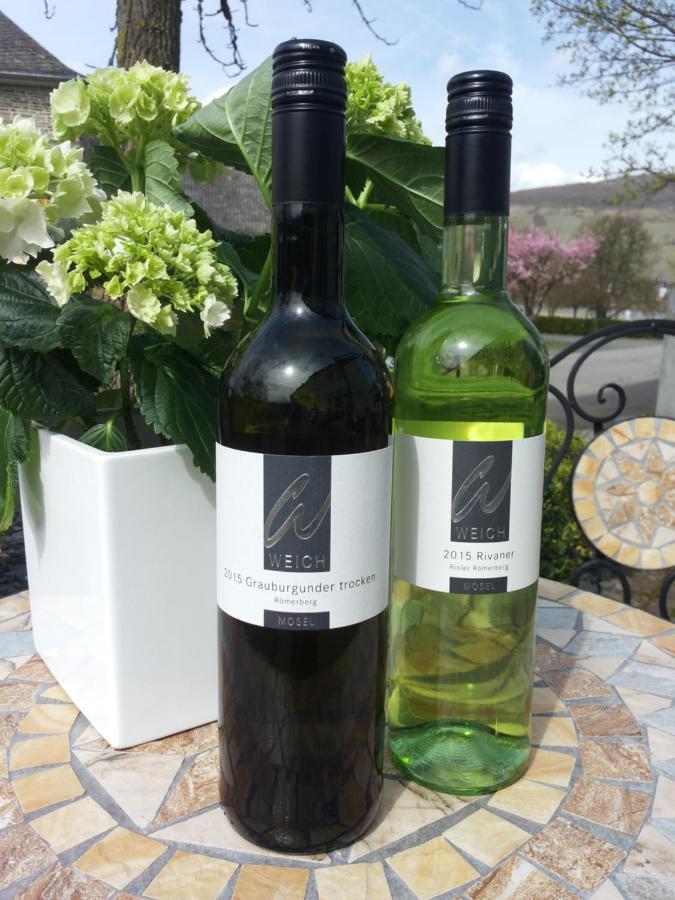 Готель Weingut Weich Riol Екстер'єр фото