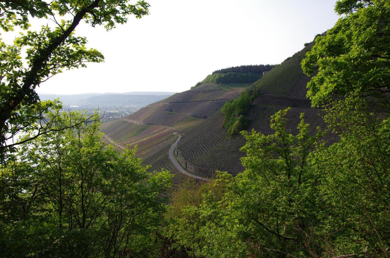 Готель Weingut Weich Riol Екстер'єр фото